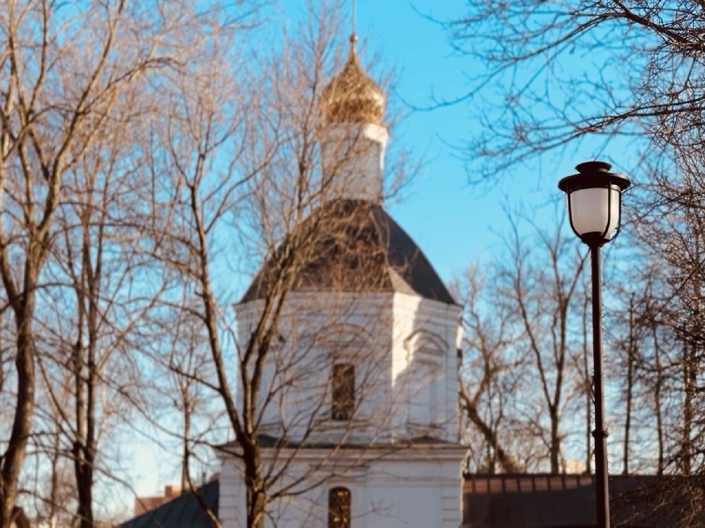 раменское, туризм, городской парк, усадьба,