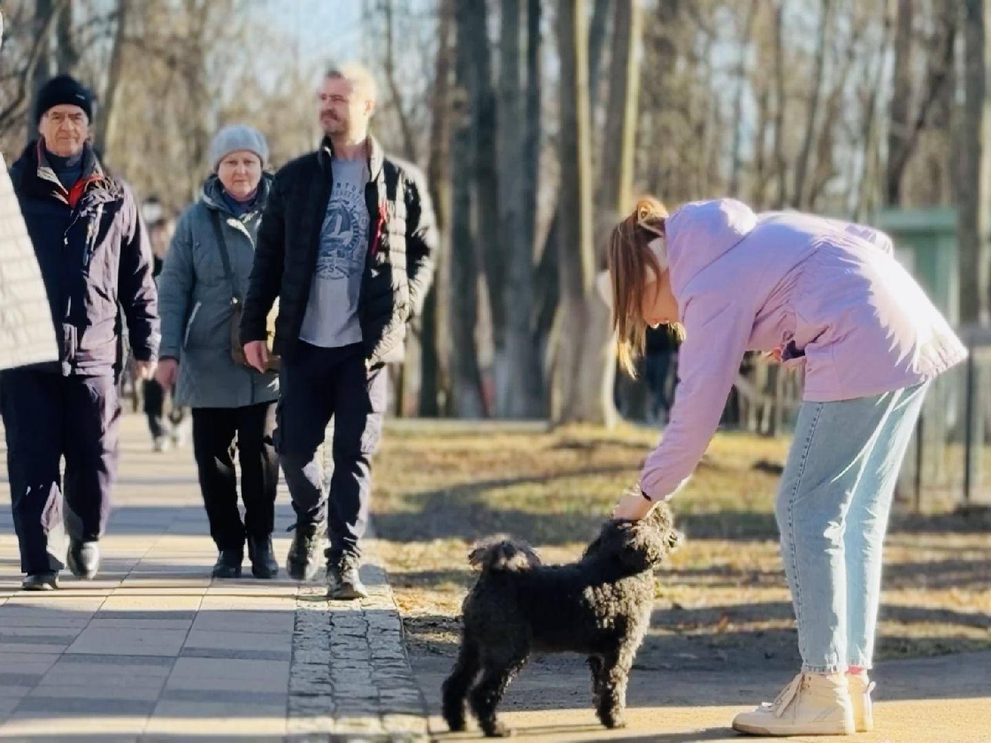 раменское, туризм, городской парк, усадьба,