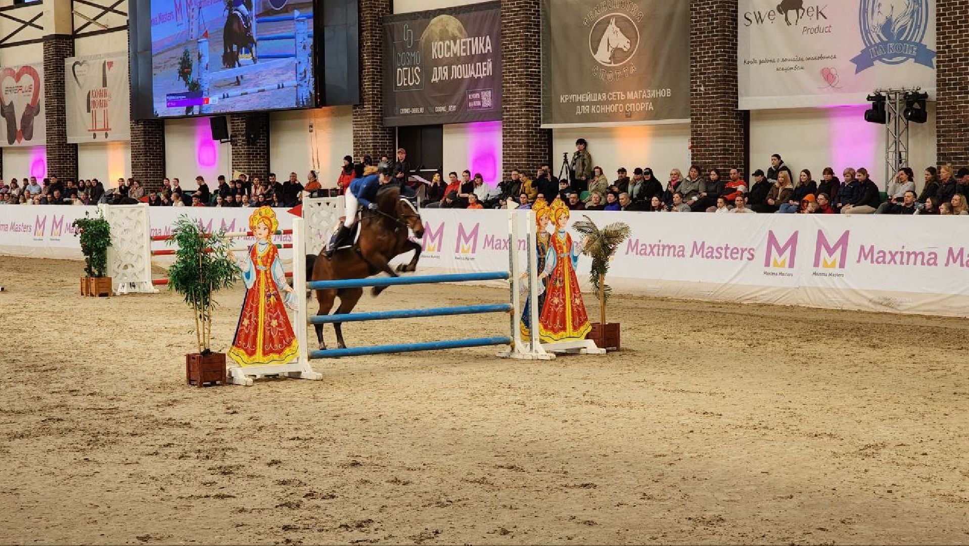 лошади, конный спорт, конный клуб, дмитров,