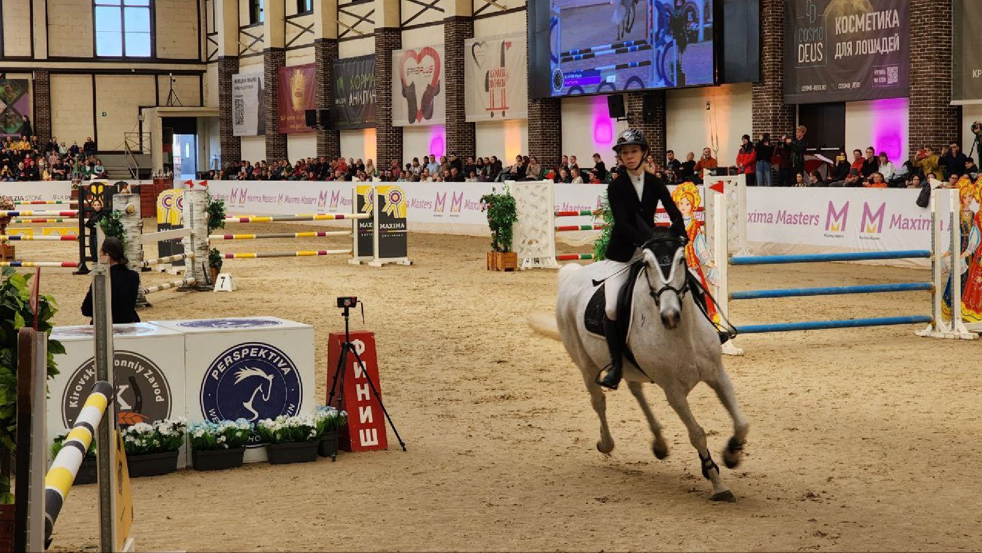 лошади, конный спорт, конный клуб, дмитров,