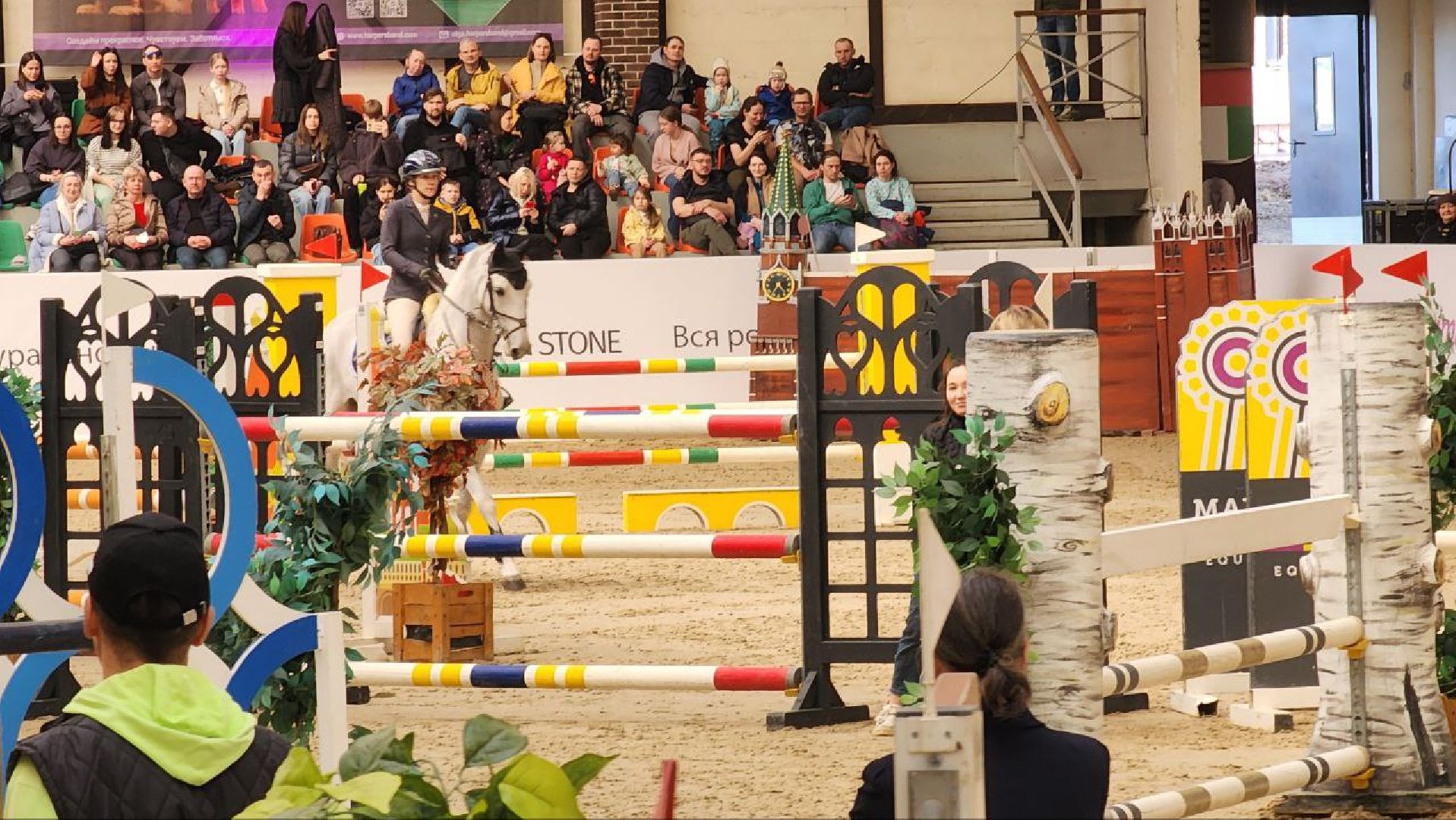 лошади, конный спорт, конный клуб, дмитров,