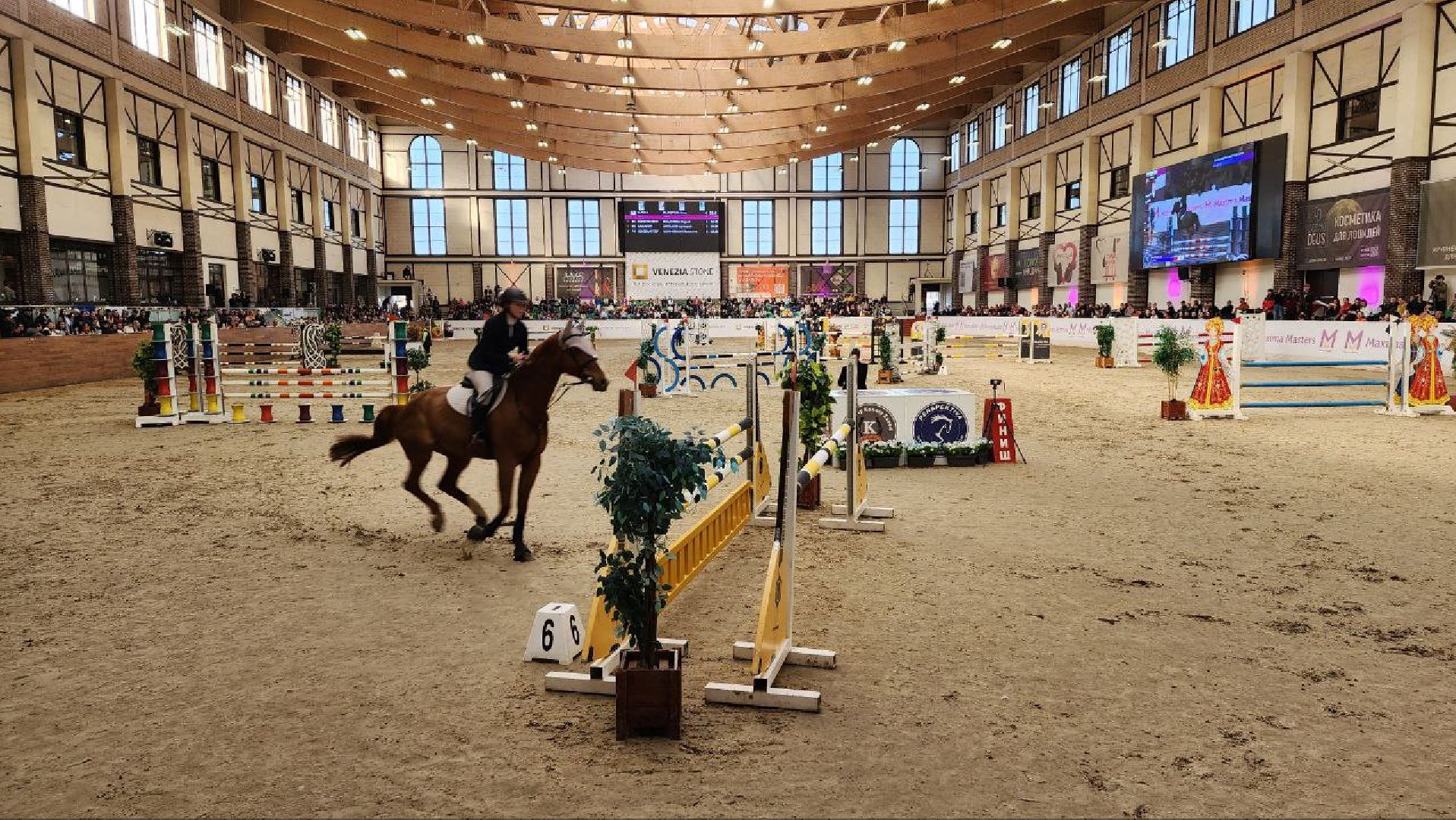 лошади, конный спорт, конный клуб, дмитров,