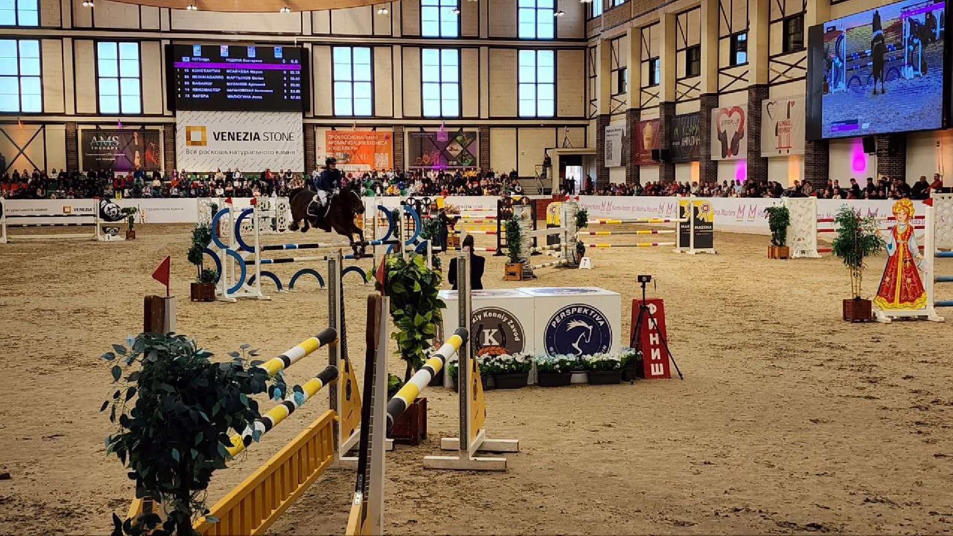 лошади, конный спорт, конный клуб, дмитров,