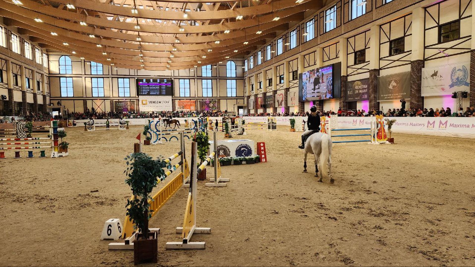 лошади, конный спорт, конный клуб, дмитров,