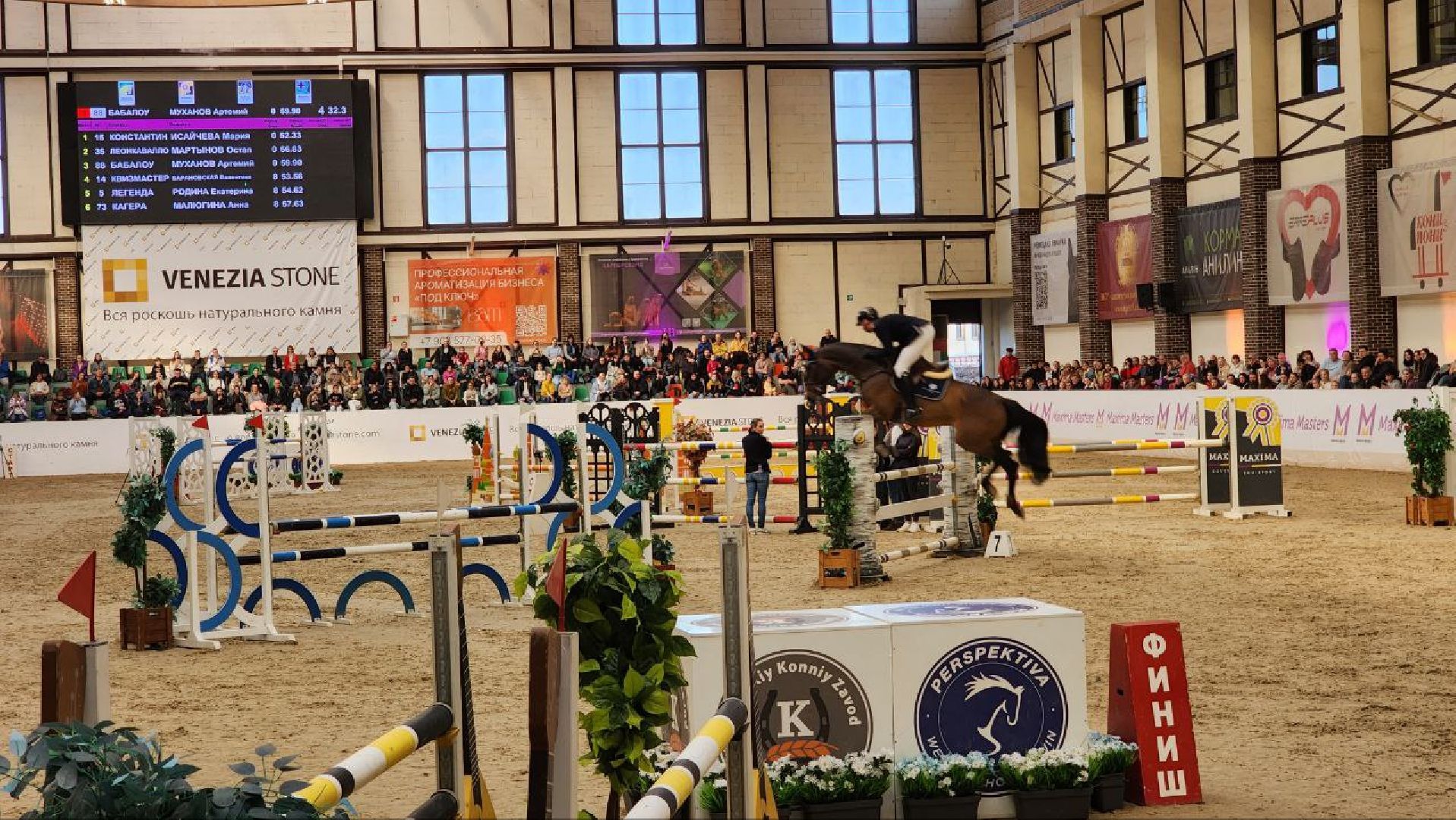 лошади, конный спорт, конный клуб, дмитров,