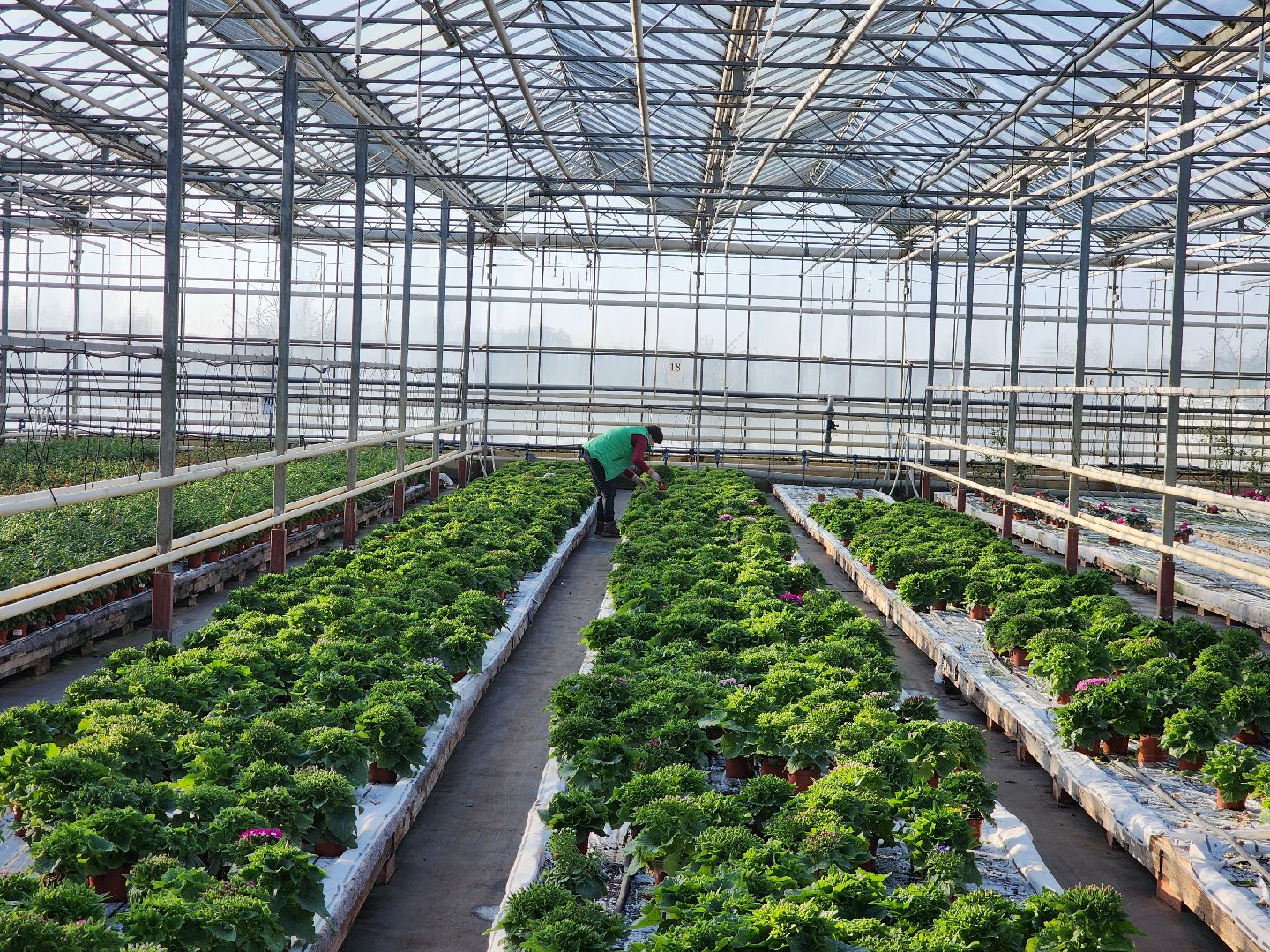 Егорьевск, Подмосковье, Московская область,