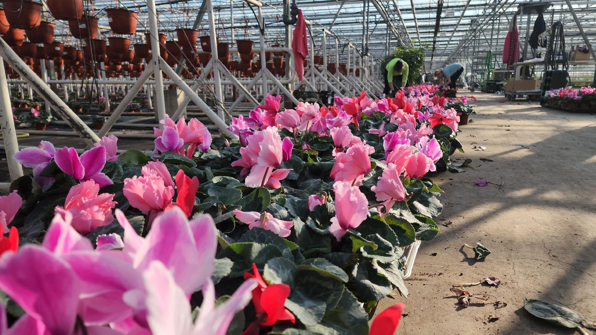 Егорьевск, Подмосковье, Московская область,