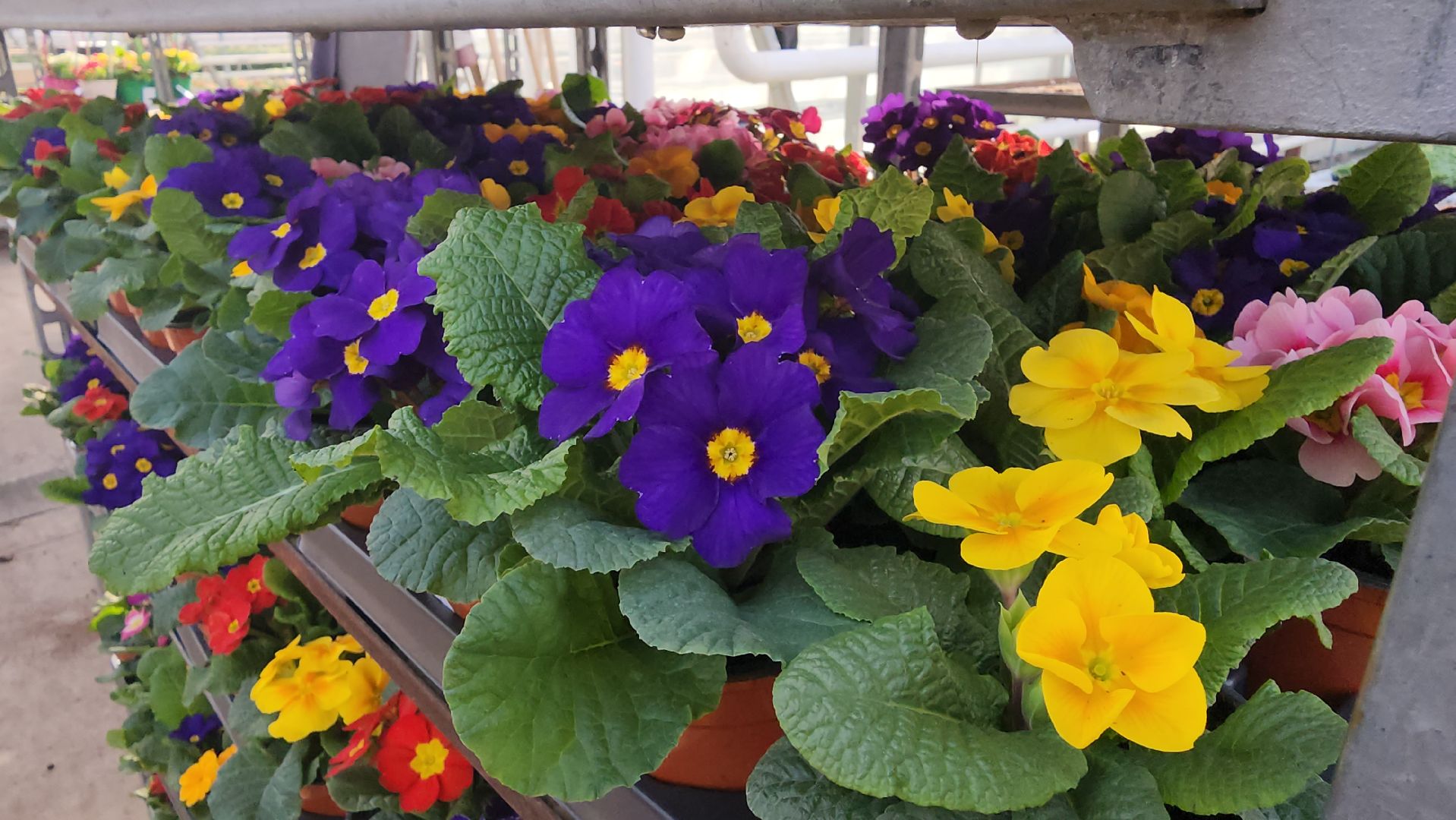 Егорьевск, Подмосковье, Московская область,