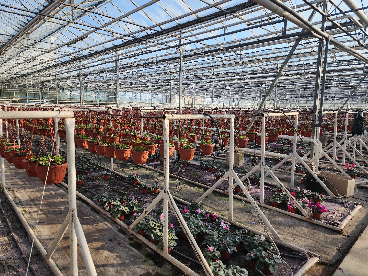 Егорьевск, Подмосковье, Московская область,