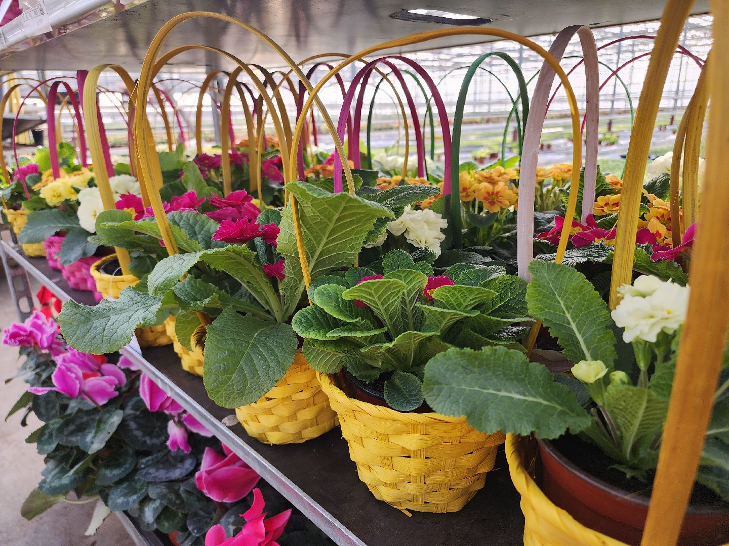 Егорьевск, Подмосковье, Московская область,