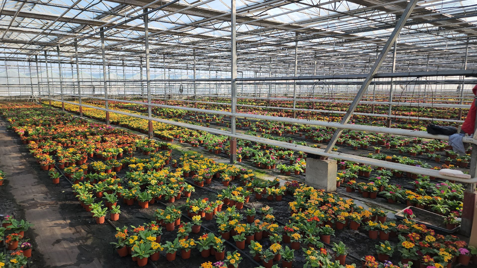 Егорьевск, Подмосковье, Московская область,