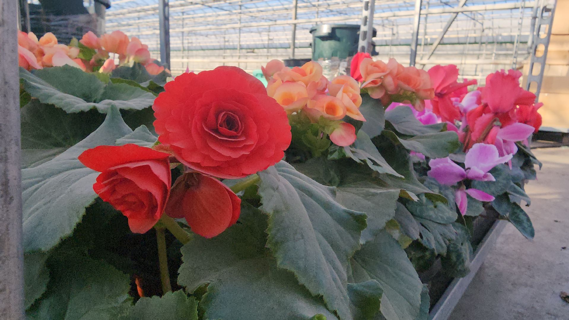 Егорьевск, Подмосковье, Московская область,