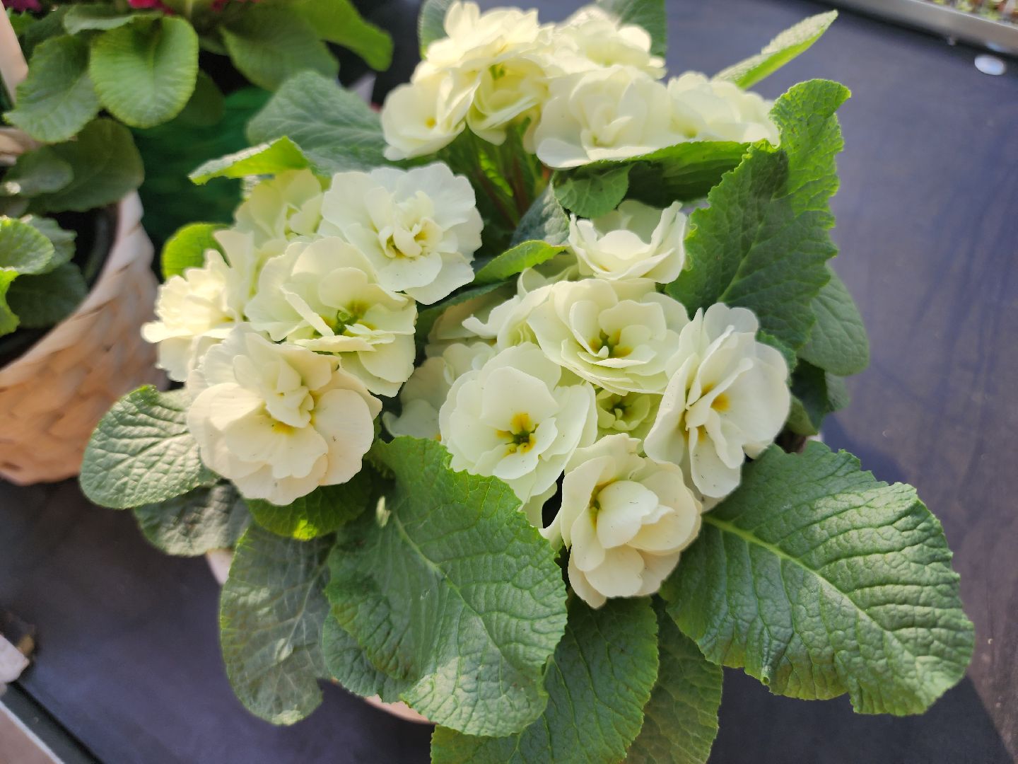 Егорьевск, Подмосковье, Московская область,