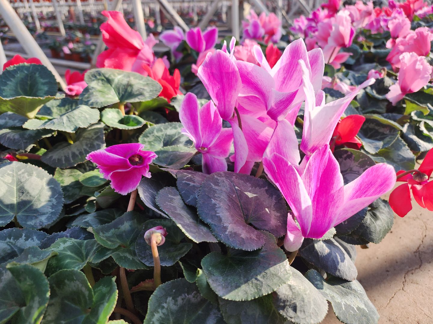 Егорьевск, Подмосковье, Московская область,