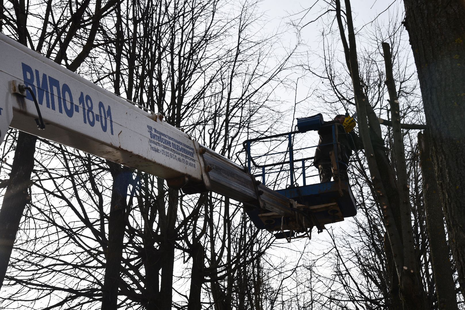 лотошино, добродел, обращения жителей, благоустройство,