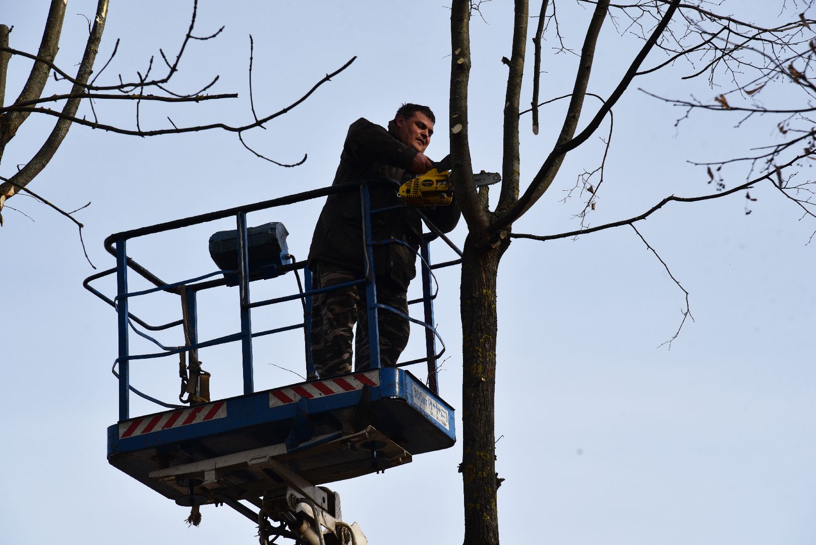 лотошино, добродел, обращения жителей, благоустройство,