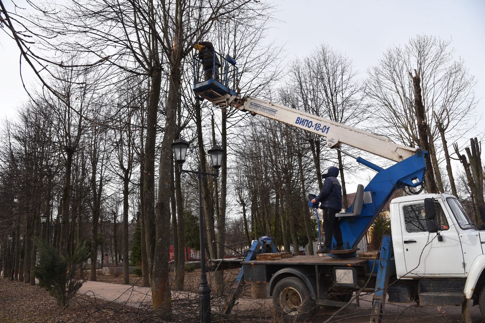 лотошино, добродел, обращения жителей, благоустройство,