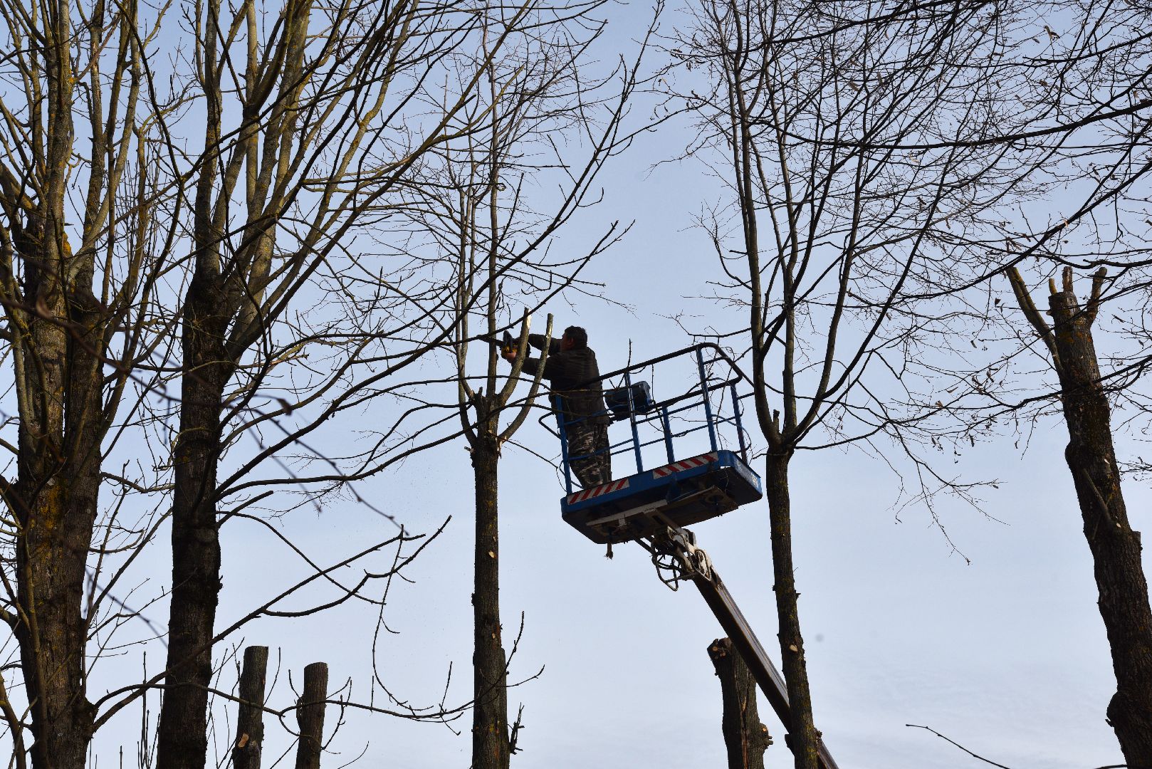 лотошино, добродел, обращения жителей, благоустройство,