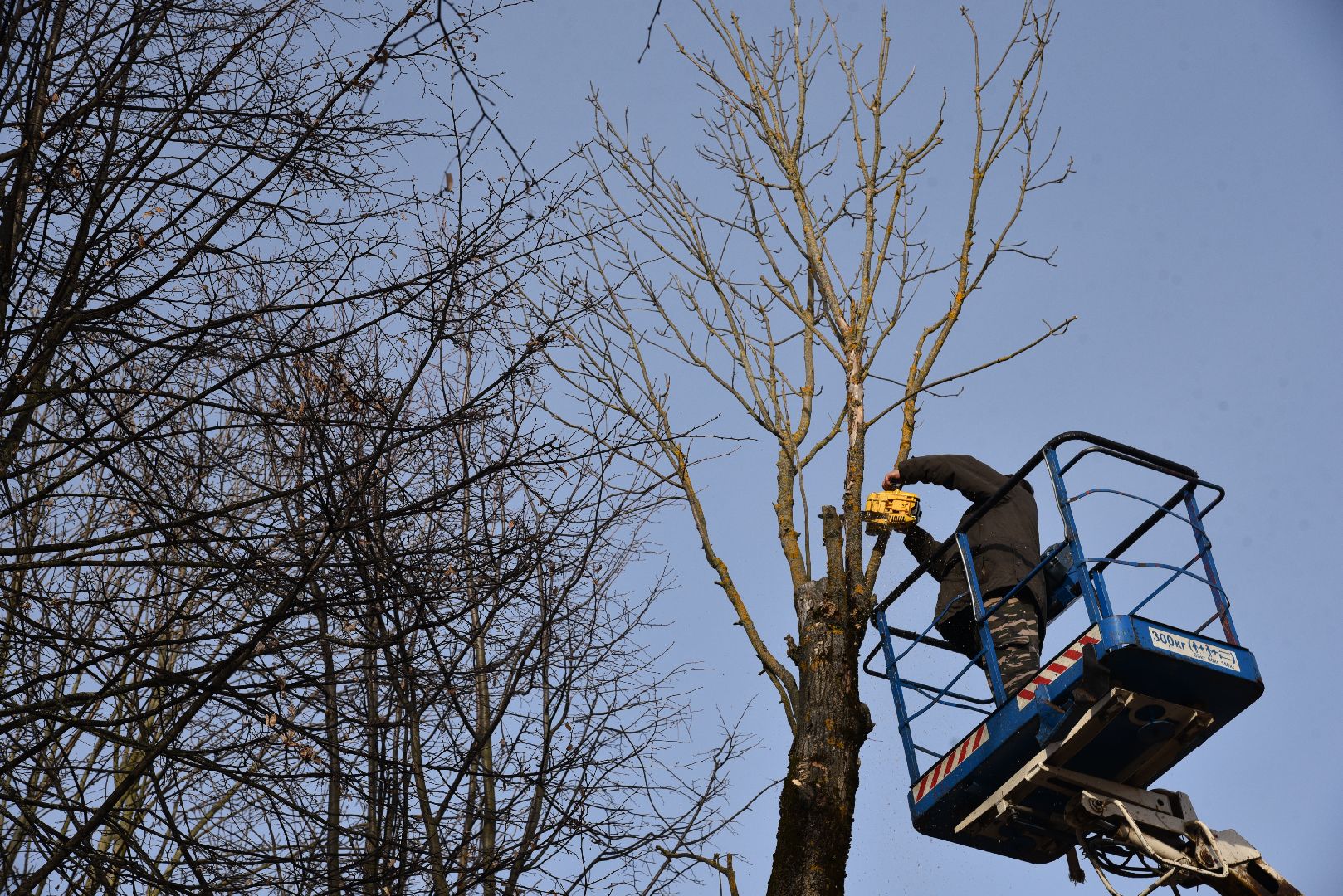 лотошино, добродел, обращения жителей, благоустройство,