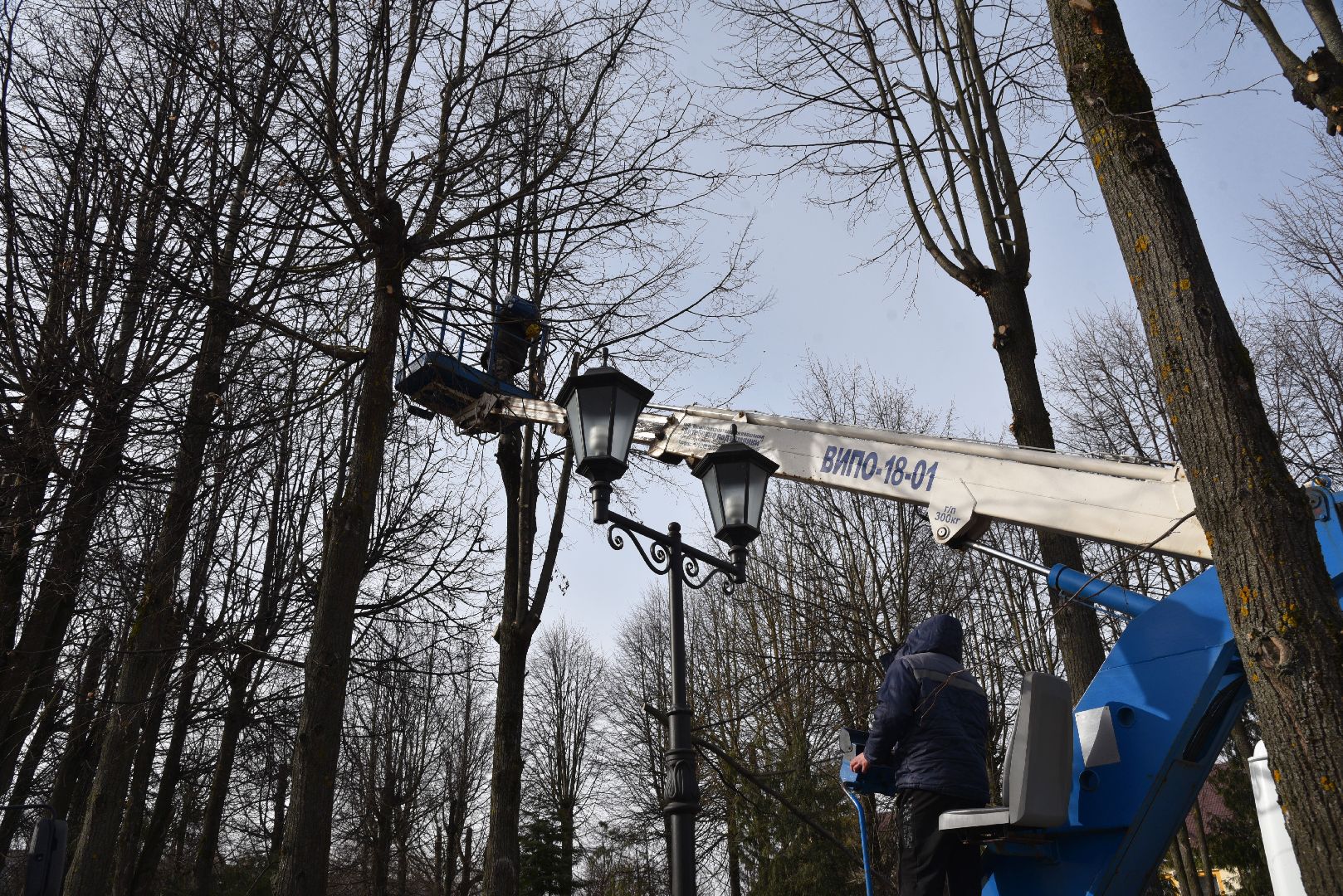 лотошино, добродел, обращения жителей, благоустройство,