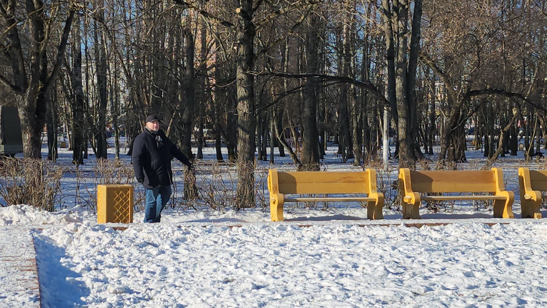 серпухов, аллея героев, день победы, парк питомник,