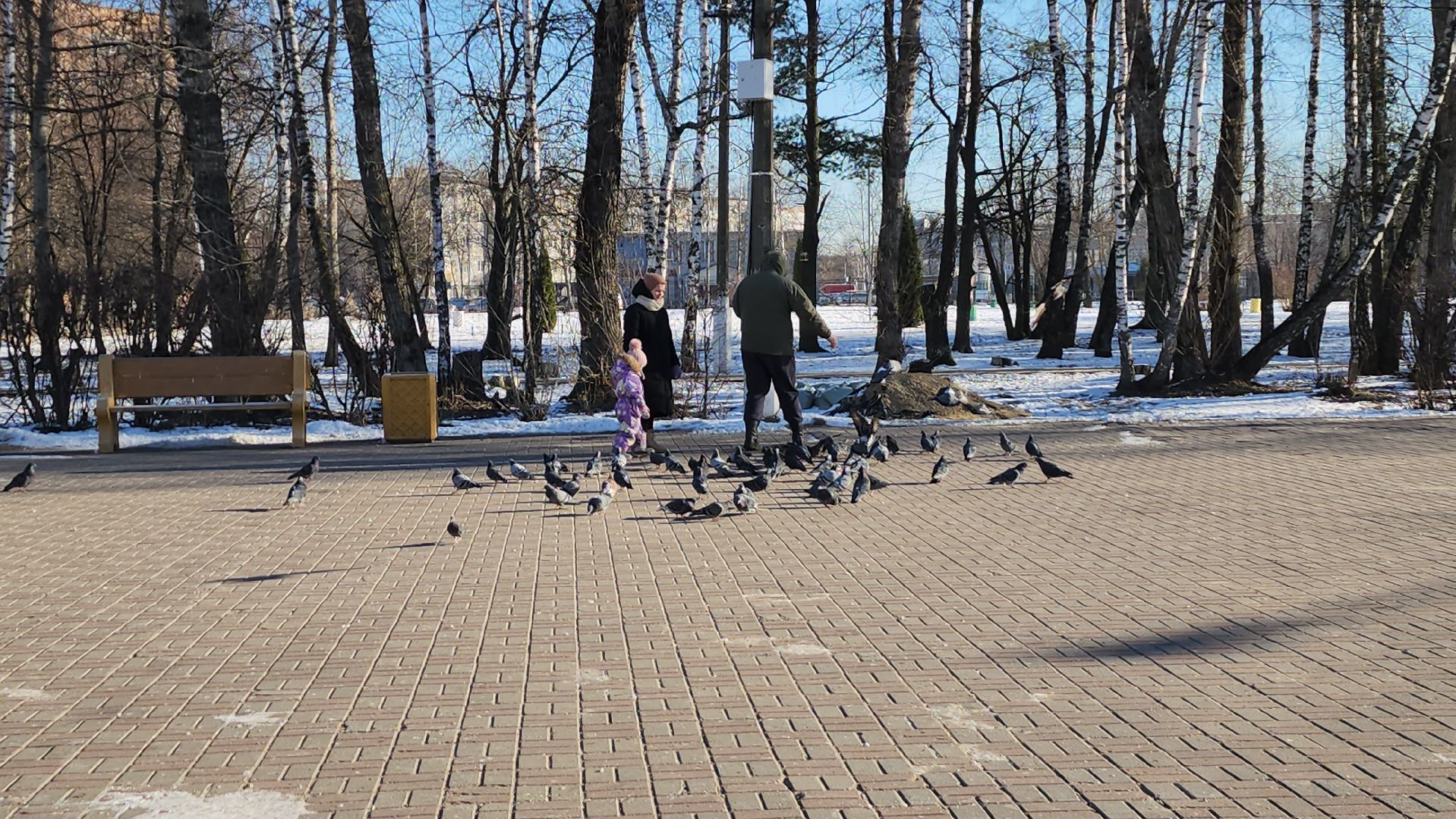 серпухов, аллея героев, день победы, парк питомник,