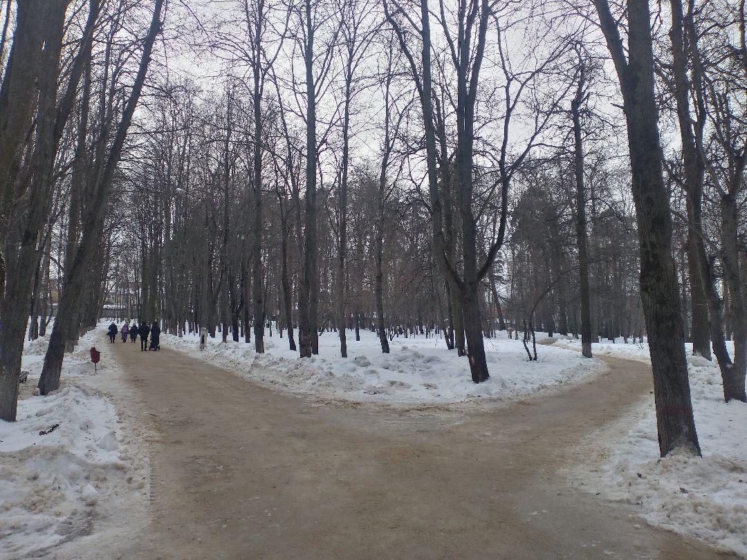 Лосино-Петровский, общество