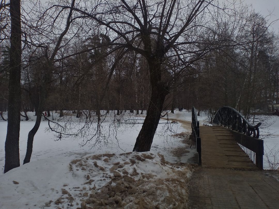 Лосино-Петровский, общество