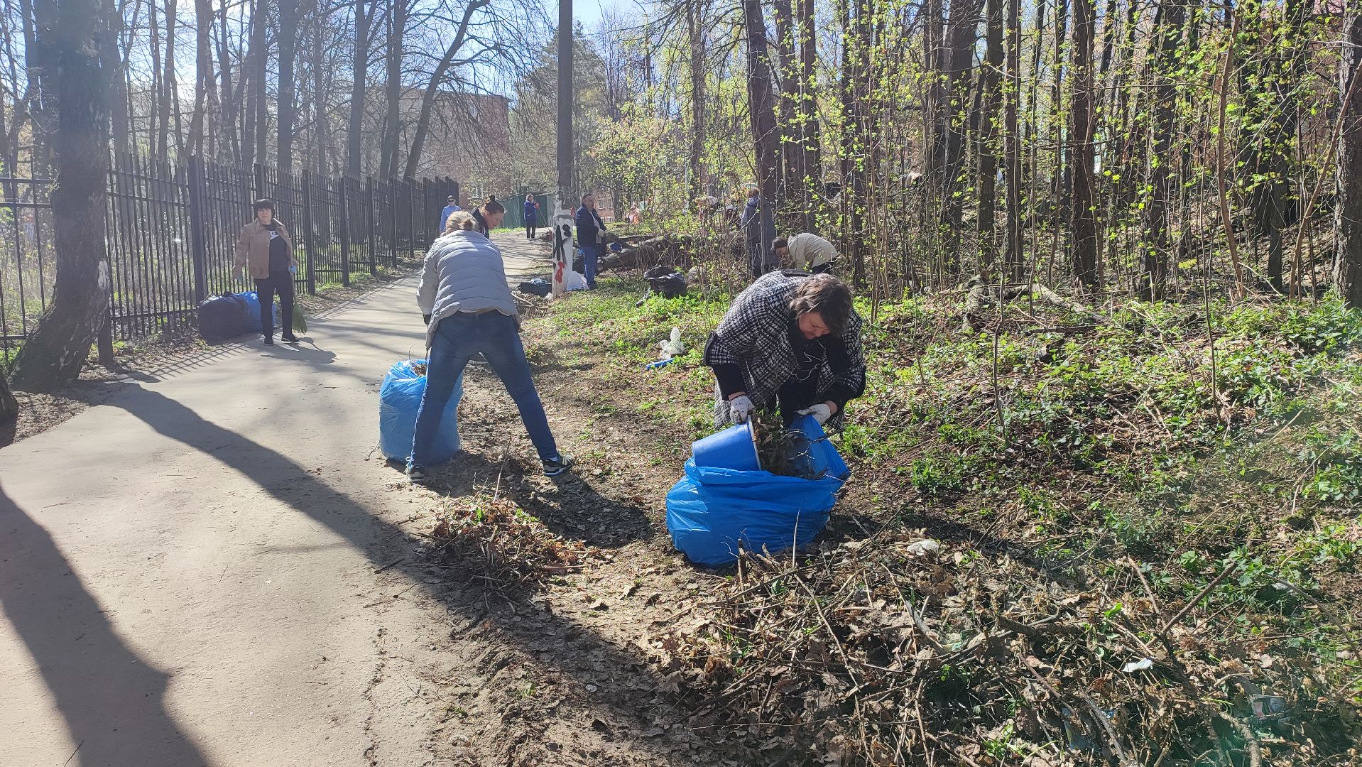 Кашира, субботник, благоустройство, парк
