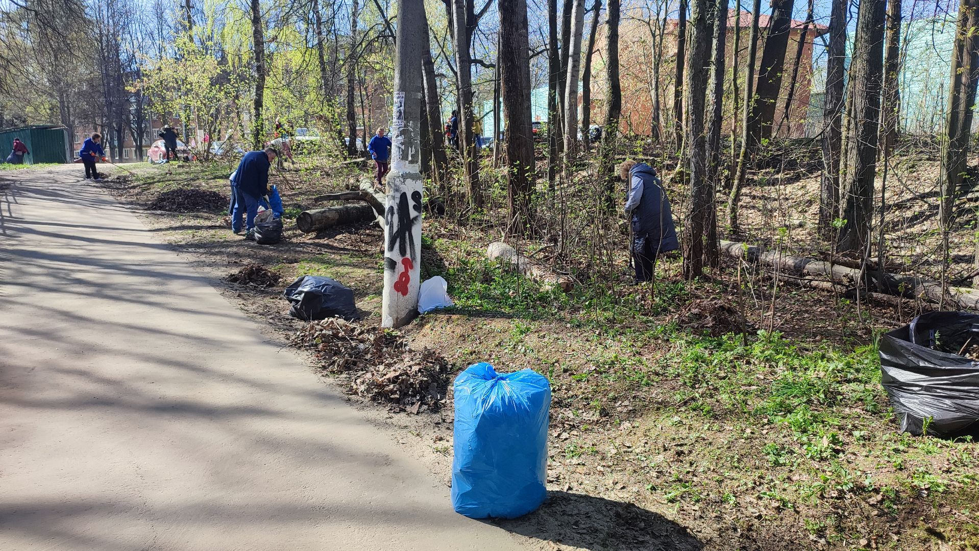 Кашира, субботник, благоустройство, парк