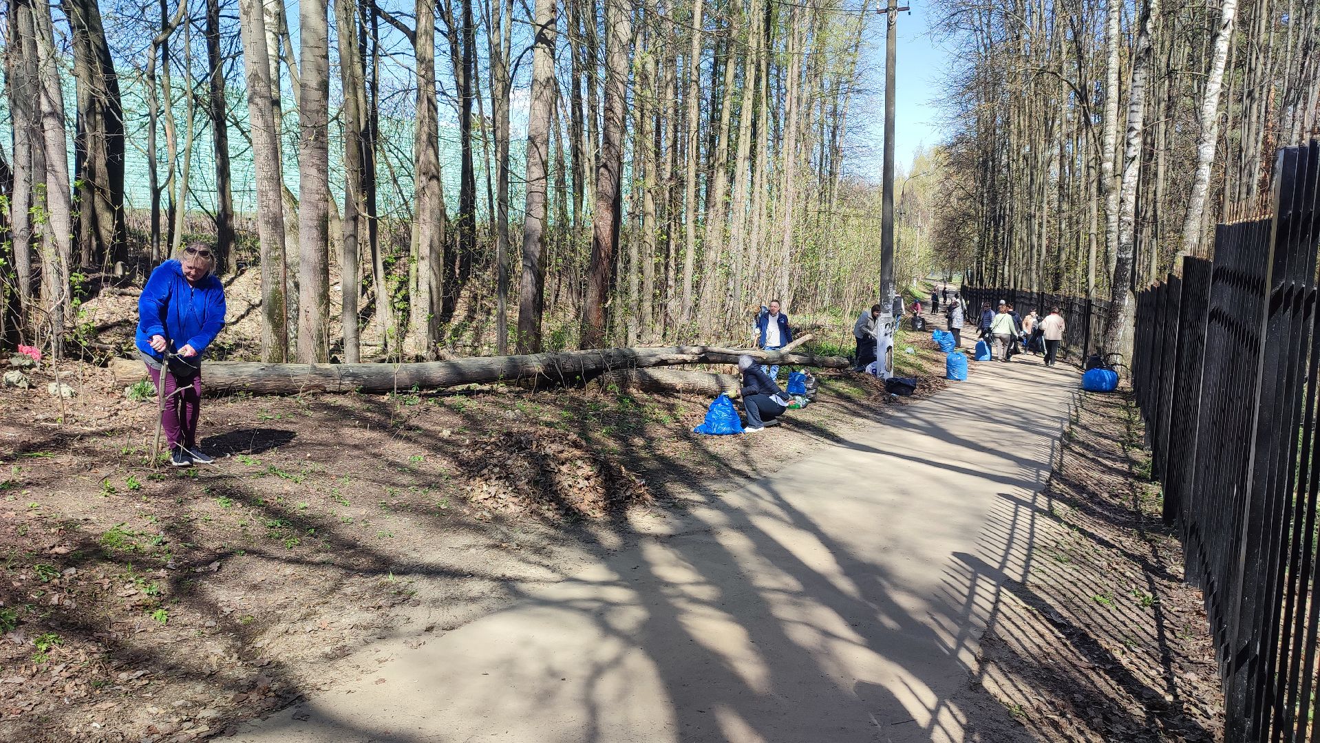 Кашира, субботник, благоустройство, парк