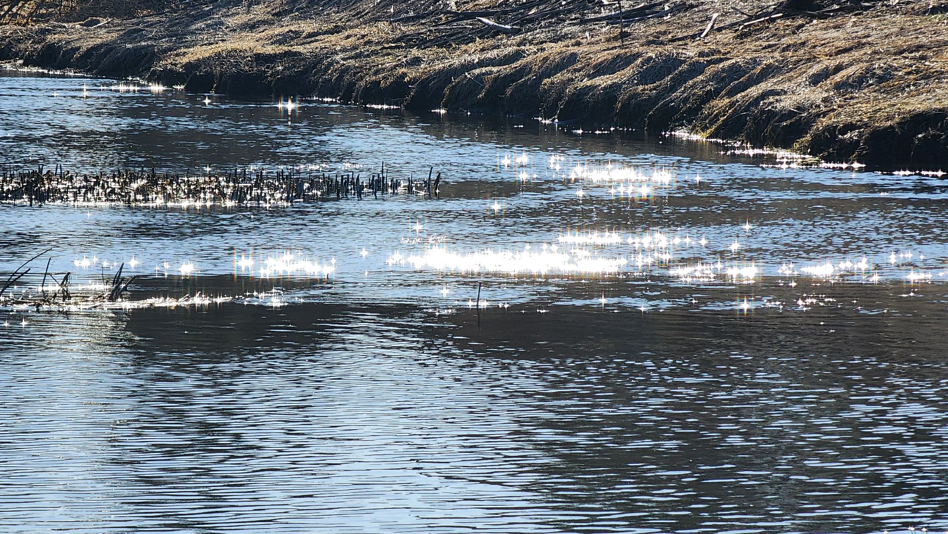 сплав на каяках, руза, каяки, спорт, экология, спорт в рузе,