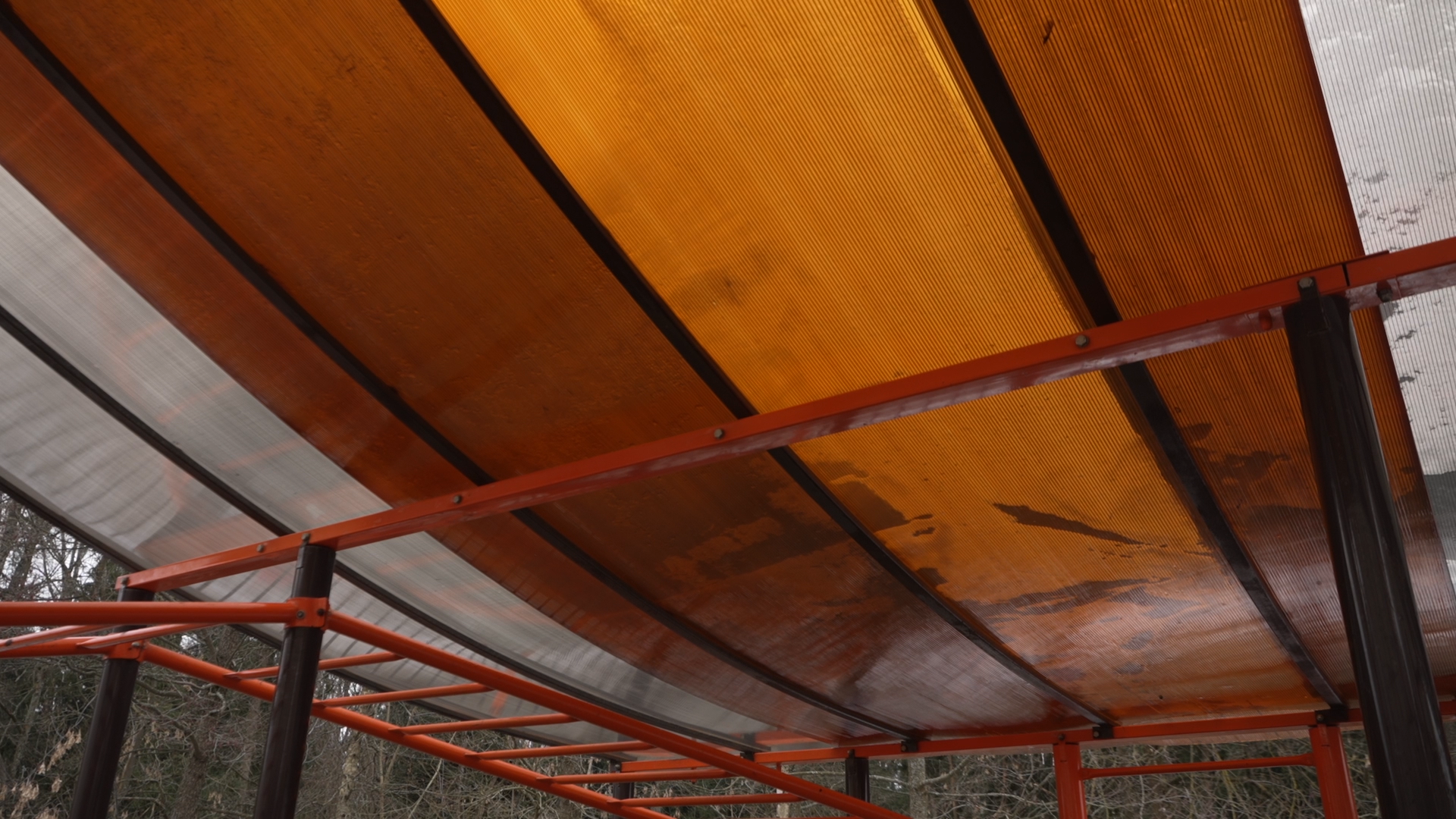 спорт Власиха, спортивная площадка, тренажерная площадка, обращения жителей, Власиха ЖКХ и благоустройство,