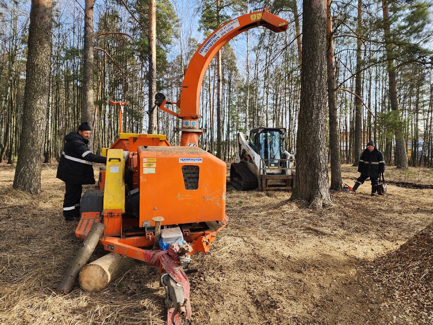 красноармейск, городской округ пушкинский, банный лес, лесопарк, благоустройство, парки подмосковья,