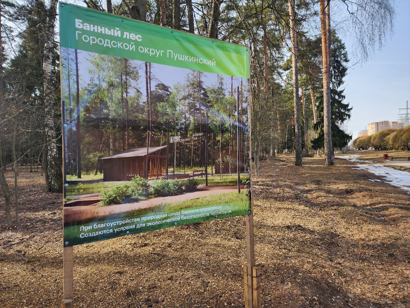 красноармейск, городской округ пушкинский, банный лес, лесопарк, благоустройство, парки подмосковья,