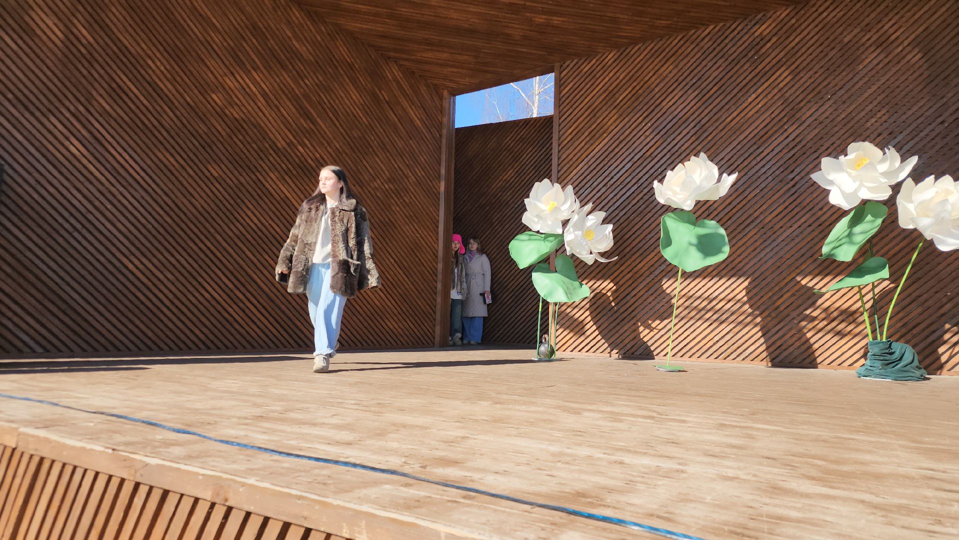 парки подмосковья, орехово-зуевский округ, ликино-дулево,