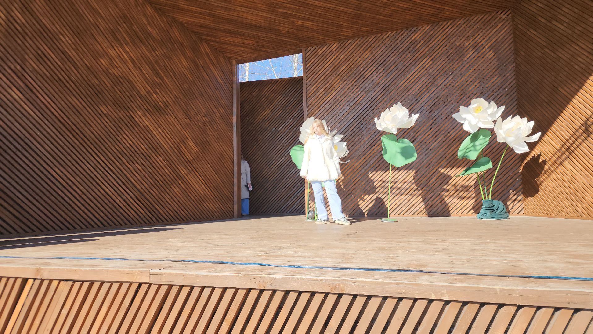 парки подмосковья, орехово-зуевский округ, ликино-дулево,