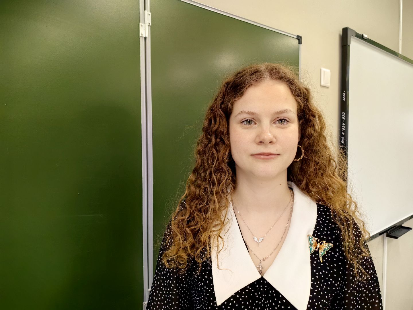 педагог, учитель, младшие классы, лицей,