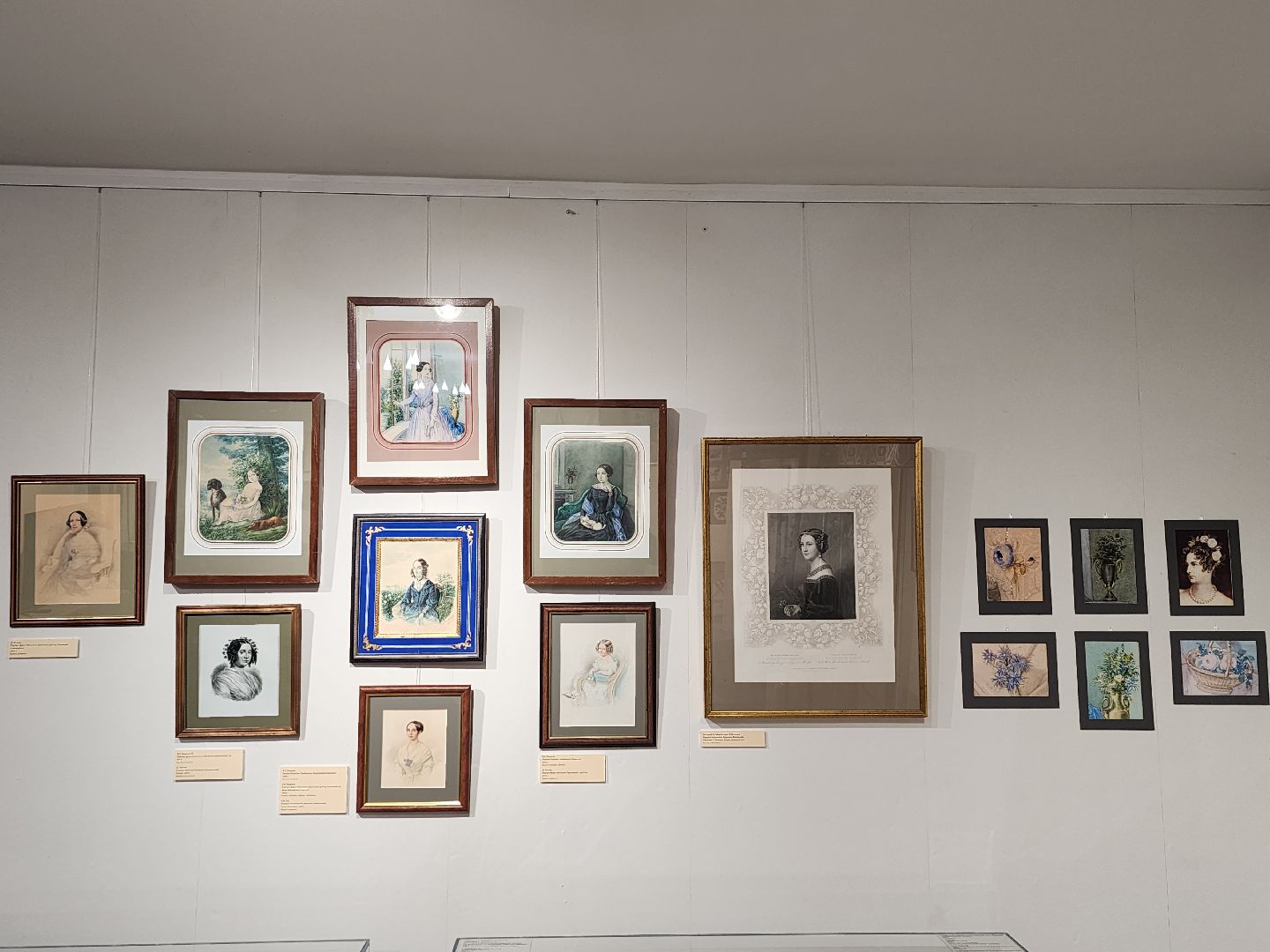 пушкино, выставка, гербарий,