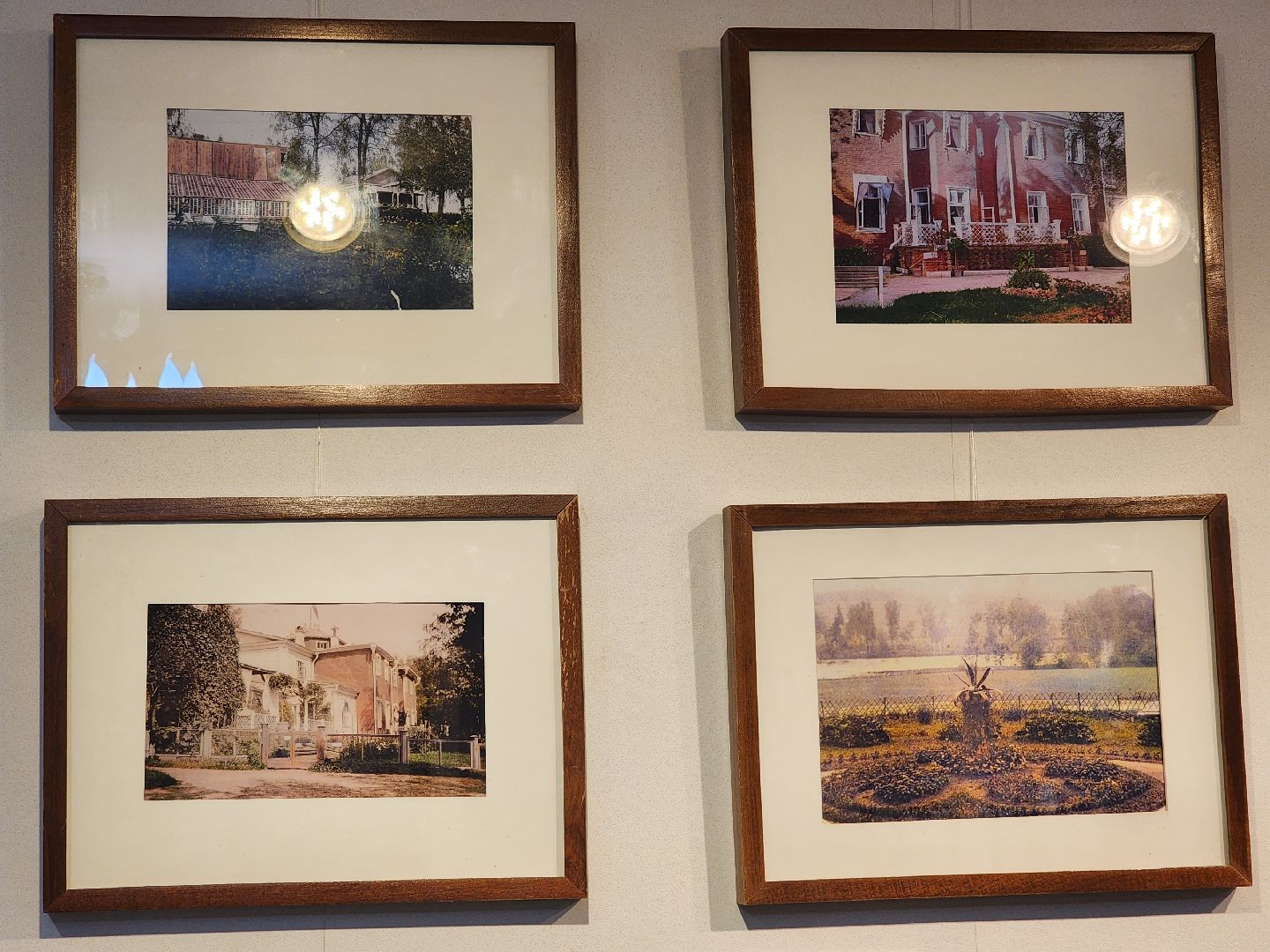 пушкино, выставка, гербарий,