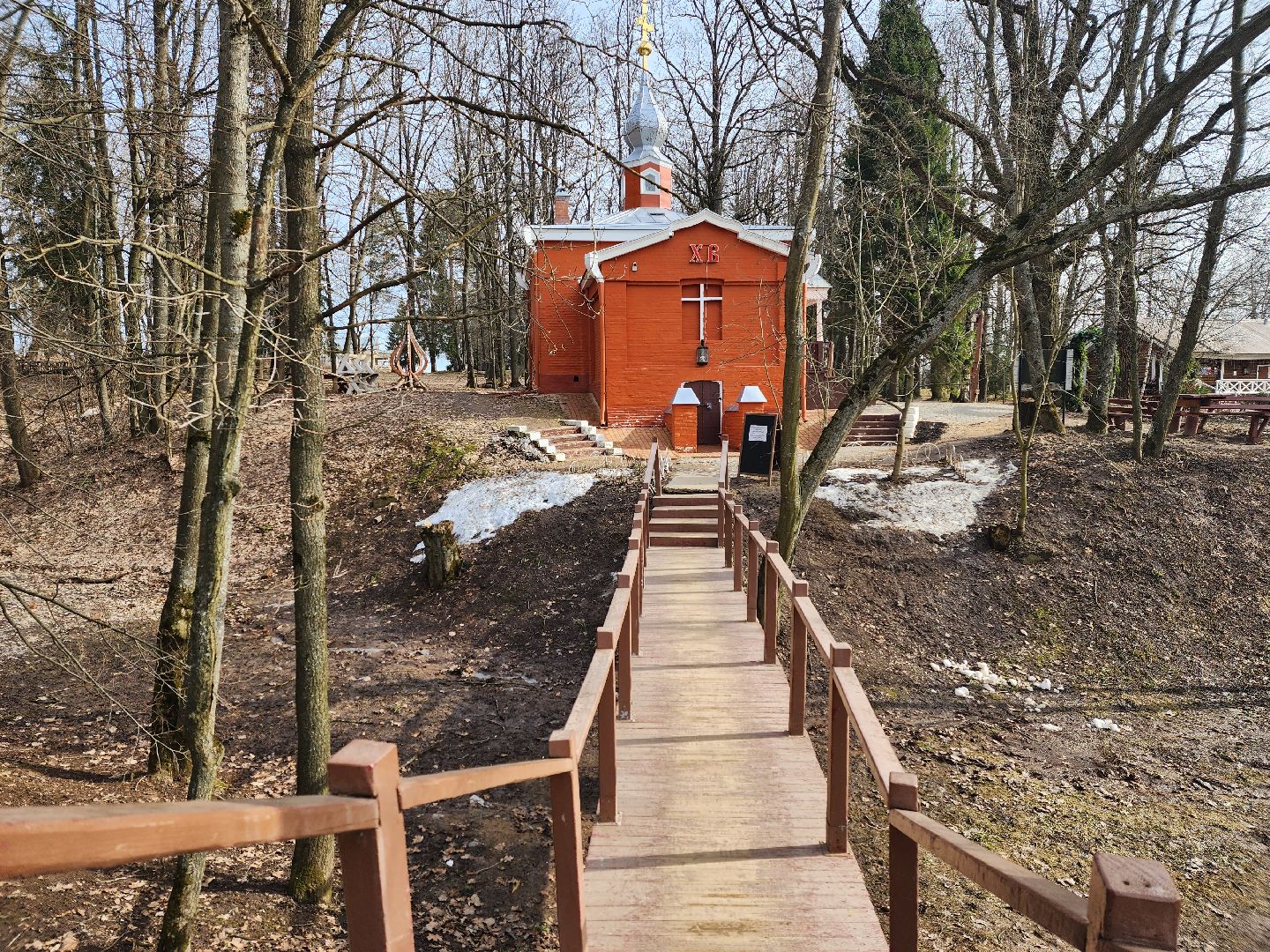 пушкино, выставка, гербарий,