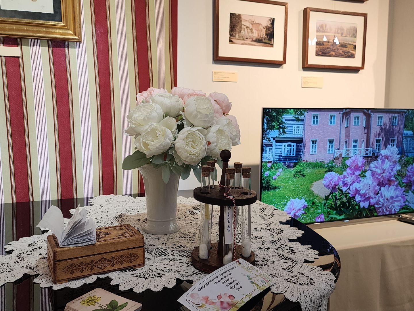 пушкино, выставка, гербарий,