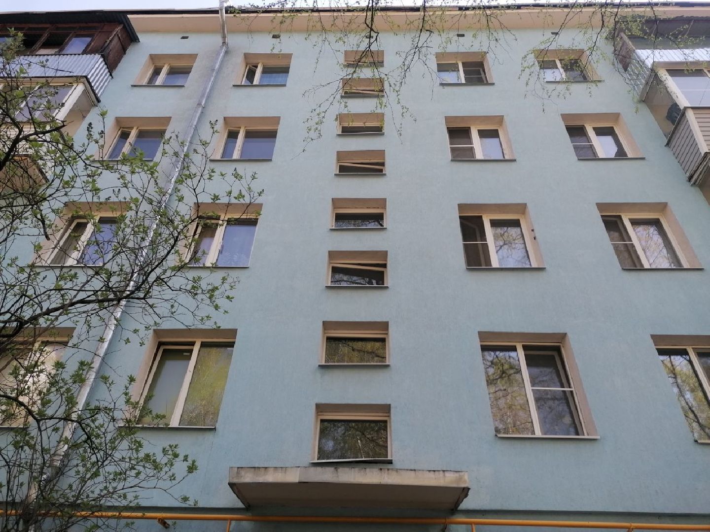 #королев
