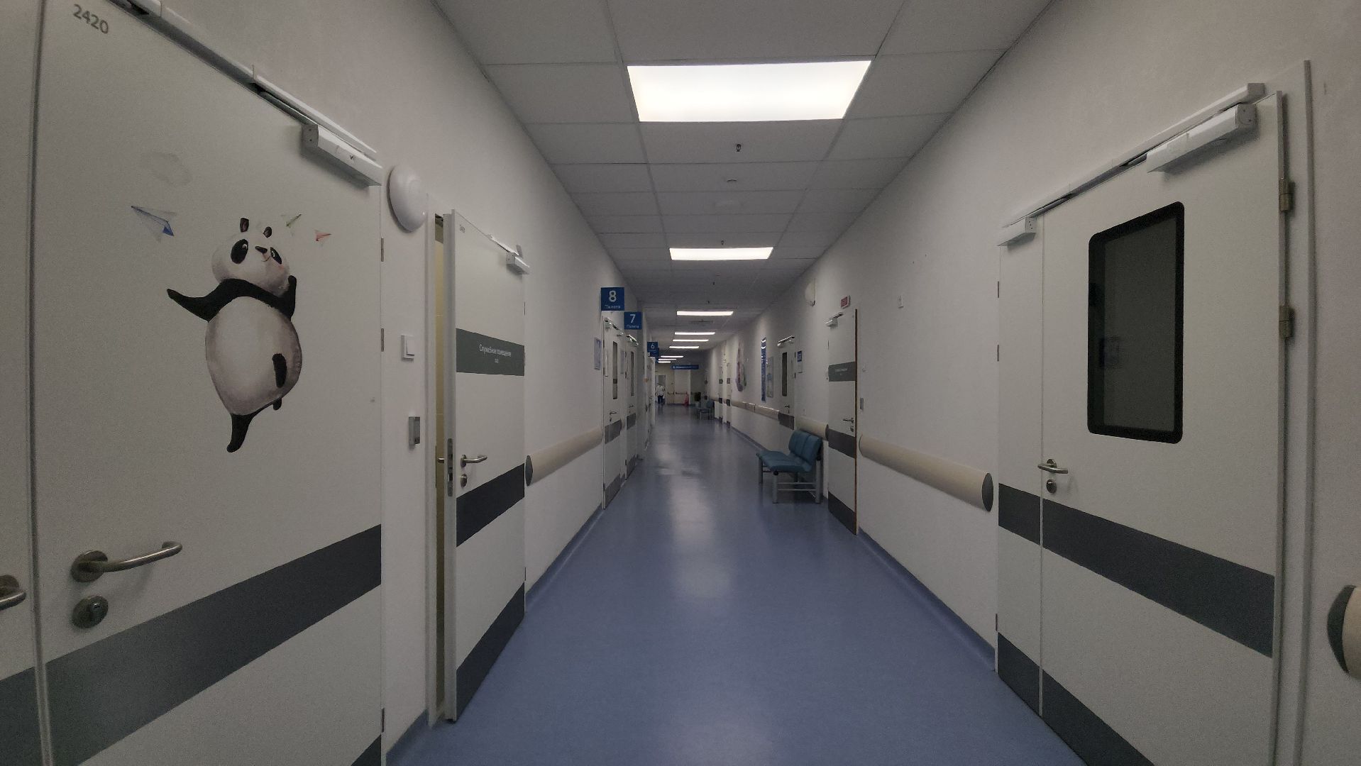 дкц имени рошаля, красногорск, медицина, хирург,