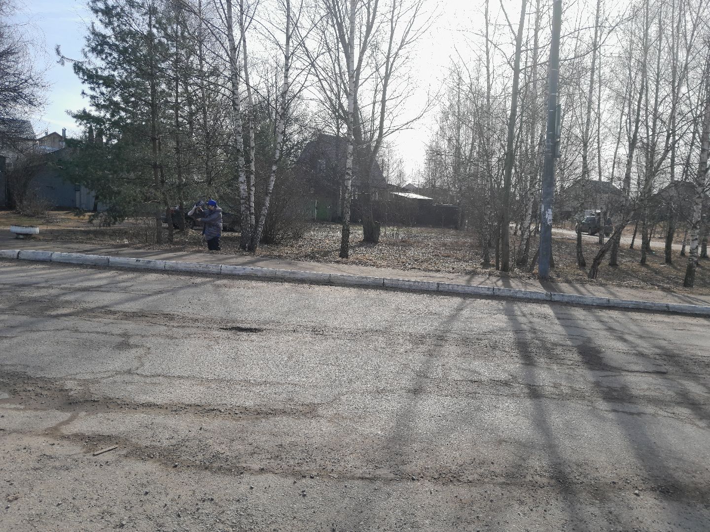 вакцинация животных, балашиха, павлино, домашние животные,