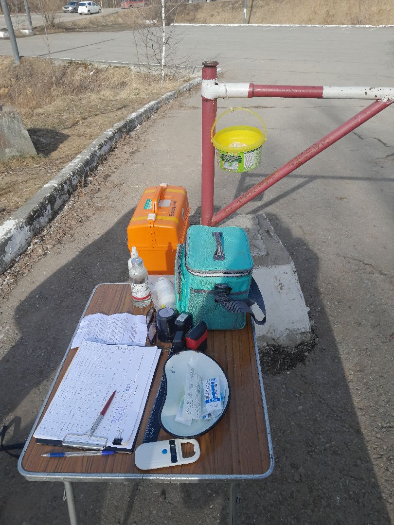 вакцинация животных, балашиха, павлино, домашние животные,