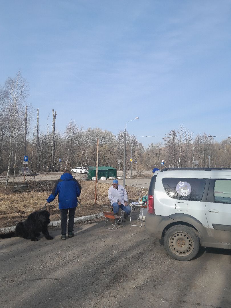 вакцинация животных, балашиха, павлино, домашние животные,