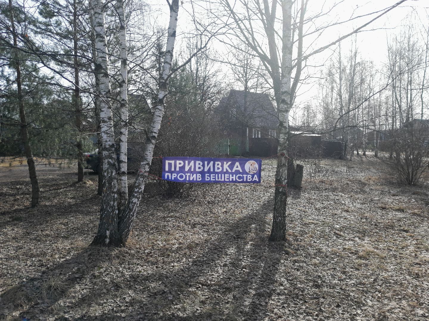 вакцинация животных, балашиха, павлино, домашние животные,