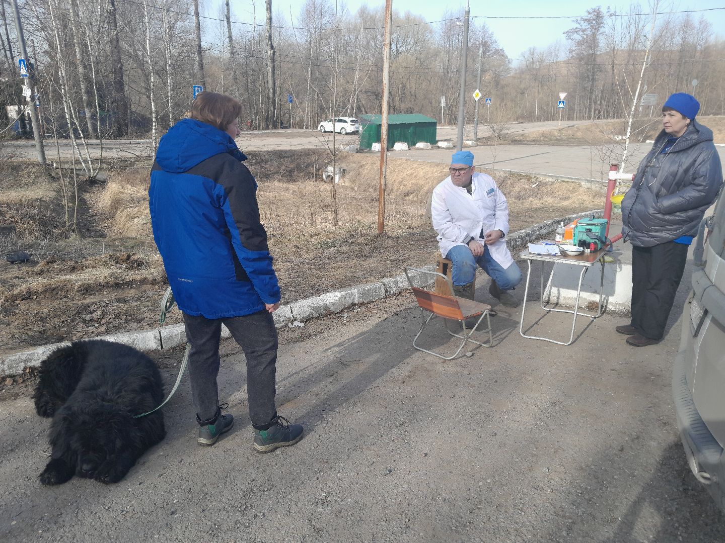 вакцинация животных, балашиха, павлино, домашние животные,
