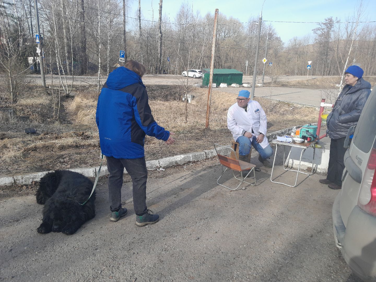 вакцинация животных, балашиха, павлино, домашние животные,